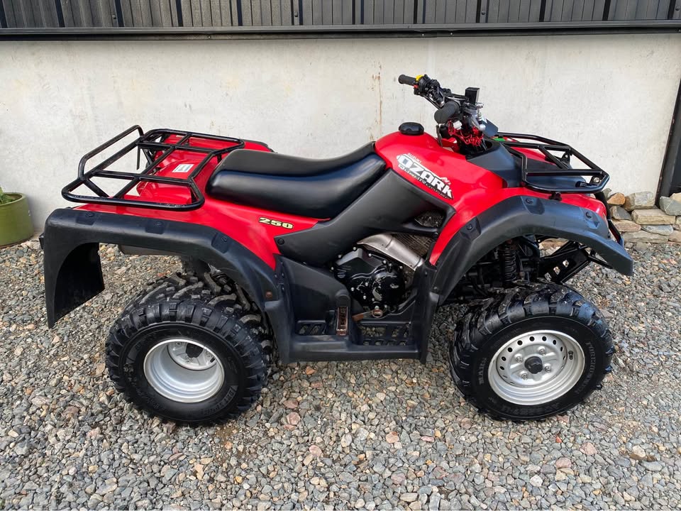 USED Suzuki Ozark 250cc 2wd Quad ATV Bike 2020